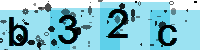 Capcha code