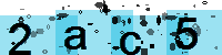 Capcha code