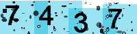 Capcha code