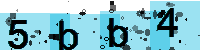 Capcha code