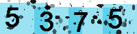 Capcha code