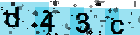 Capcha code