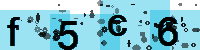 Capcha code
