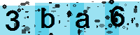 Capcha code