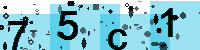 Capcha code