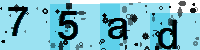 Capcha code