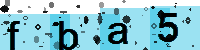 Capcha code