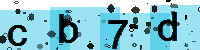 Capcha code