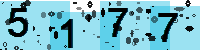 Capcha code