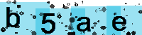 Capcha code
