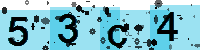 Capcha code