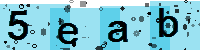 Capcha code