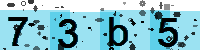 Capcha code