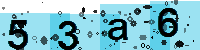 Capcha code