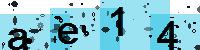 Capcha code