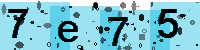 Capcha code
