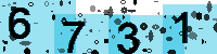 Capcha code