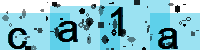 Capcha code
