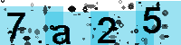Capcha code