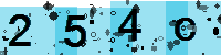 Capcha code