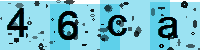 Capcha code