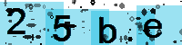 Capcha code