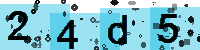 Capcha code