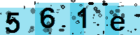 Capcha code