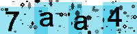 Capcha code