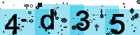 Capcha code