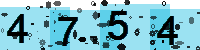 Capcha code