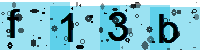Capcha code