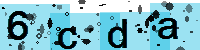 Capcha code