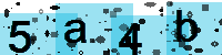 Capcha code