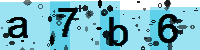 Capcha code