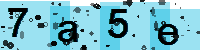 Capcha code