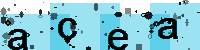 Capcha code