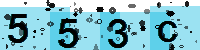 Capcha code