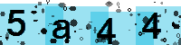 Capcha code