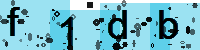 Capcha code