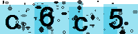 Capcha code