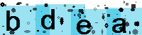 Capcha code