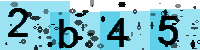 Capcha code