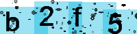Capcha code