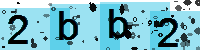 Capcha code