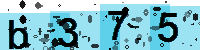 Capcha code