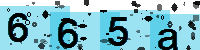 Capcha code