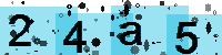 Capcha code